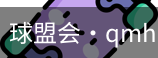 qmh球盟会亚博